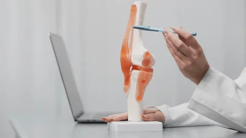 Orthopaedic